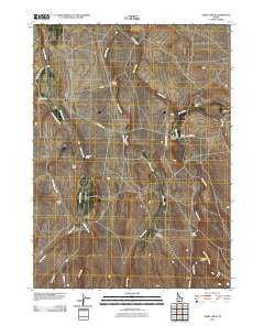 Three Creek Idaho Historical topographic map, 1:24000 scale, 7.5 X 7.5 Minute, Year 2010