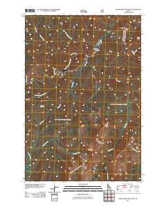 Three Prong Mountain Idaho Historical topographic map, 1:24000 scale, 7.5 X 7.5 Minute, Year 2011