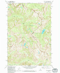 Tin Cup Lake Montana Historical topographic map, 1:24000 scale, 7.5 X 7.5 Minute, Year 1991