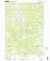 Tincup Mtn Idaho Historical topographic map, 1:24000 scale, 7.5 X 7.5 Minute, Year 1966