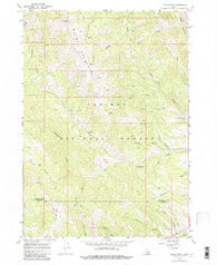 Tincup Mtn Idaho Historical topographic map, 1:24000 scale, 7.5 X 7.5 Minute, Year 1966
