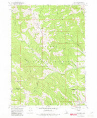 Tincup Mtn Idaho Historical topographic map, 1:24000 scale, 7.5 X 7.5 Minute, Year 1966