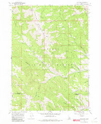 Tincup Mtn Idaho Historical topographic map, 1:24000 scale, 7.5 X 7.5 Minute, Year 1966