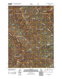 Tincup Mountain Idaho Historical topographic map, 1:24000 scale, 7.5 X 7.5 Minute, Year 2011