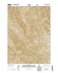 Tincup Mountain Idaho Current topographic map, 1:24000 scale, 7.5 X 7.5 Minute, Year 2013