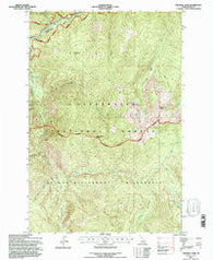 Tom Beal Peak Idaho Historical topographic map, 1:24000 scale, 7.5 X 7.5 Minute, Year 1994