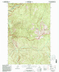 Tom Beal Peak Idaho Historical topographic map, 1:24000 scale, 7.5 X 7.5 Minute, Year 1994