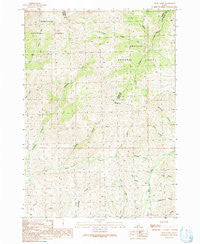 Trail Creek Idaho Historical topographic map, 1:24000 scale, 7.5 X 7.5 Minute, Year 1991