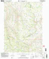Trapper Peak Idaho Historical topographic map, 1:24000 scale, 7.5 X 7.5 Minute, Year 2001