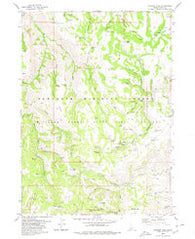 Trapper Peak Idaho Historical topographic map, 1:24000 scale, 7.5 X 7.5 Minute, Year 1979