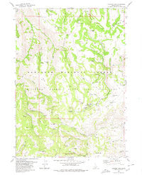 Trapper Peak Idaho Historical topographic map, 1:24000 scale, 7.5 X 7.5 Minute, Year 1979
