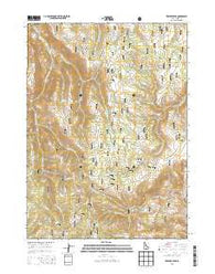 Trapper Peak Idaho Current topographic map, 1:24000 scale, 7.5 X 7.5 Minute, Year 2013