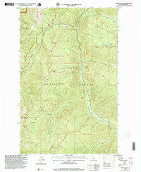 Trestle Peak Idaho Historical topographic map, 1:24000 scale, 7.5 X 7.5 Minute, Year 1996