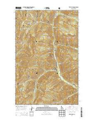 Trestle Peak Idaho Current topographic map, 1:24000 scale, 7.5 X 7.5 Minute, Year 2013