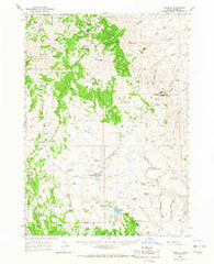Triangle Idaho Historical topographic map, 1:62500 scale, 15 X 15 Minute, Year 1965