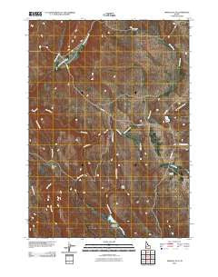 Triangle Flat Idaho Historical topographic map, 1:24000 scale, 7.5 X 7.5 Minute, Year 2010