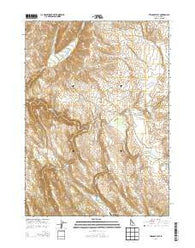 Triangle Flat Idaho Current topographic map, 1:24000 scale, 7.5 X 7.5 Minute, Year 2013
