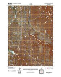 Triangle Reservoir Idaho Historical topographic map, 1:24000 scale, 7.5 X 7.5 Minute, Year 2010