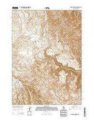 Triangle Reservoir Idaho Current topographic map, 1:24000 scale, 7.5 X 7.5 Minute, Year 2013