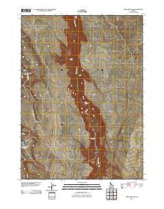 Triguero Lake Idaho Historical topographic map, 1:24000 scale, 7.5 X 7.5 Minute, Year 2010
