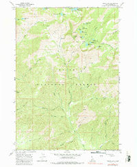 Trinity Mtn Idaho Historical topographic map, 1:24000 scale, 7.5 X 7.5 Minute, Year 1964