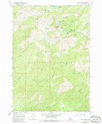 Trinity Mtn Idaho Historical topographic map, 1:24000 scale, 7.5 X 7.5 Minute, Year 1964