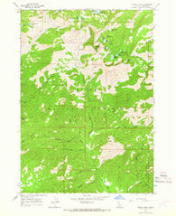 Trinity Mtn Idaho Historical topographic map, 1:24000 scale, 7.5 X 7.5 Minute, Year 1964