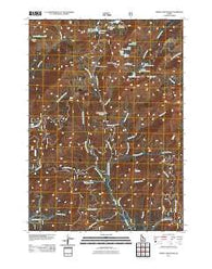 Trinity Mountain Idaho Historical topographic map, 1:24000 scale, 7.5 X 7.5 Minute, Year 2011