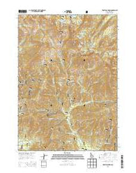 Trinity Mountain Idaho Current topographic map, 1:24000 scale, 7.5 X 7.5 Minute, Year 2013