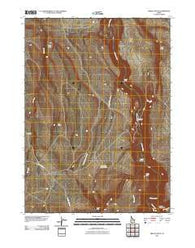 Triplet Butte Idaho Historical topographic map, 1:24000 scale, 7.5 X 7.5 Minute, Year 2010