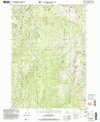Tripod Peak Idaho Historical topographic map, 1:24000 scale, 7.5 X 7.5 Minute, Year 2004