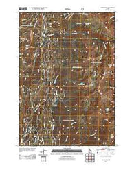 Tripod Peak Idaho Historical topographic map, 1:24000 scale, 7.5 X 7.5 Minute, Year 2011