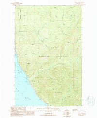 Trout Peak Idaho Historical topographic map, 1:24000 scale, 7.5 X 7.5 Minute, Year 1989