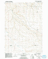 Twentymile Butte Idaho Historical topographic map, 1:24000 scale, 7.5 X 7.5 Minute, Year 1992