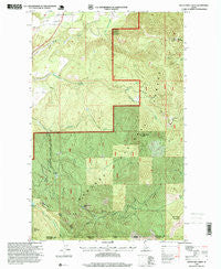Twentymile Creek Idaho Historical topographic map, 1:24000 scale, 7.5 X 7.5 Minute, Year 1996