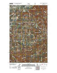 Twentymile Creek Idaho Historical topographic map, 1:24000 scale, 7.5 X 7.5 Minute, Year 2011
