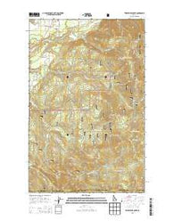 Twentymile Creek Idaho Current topographic map, 1:24000 scale, 7.5 X 7.5 Minute, Year 2013