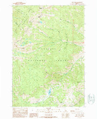 Twin Peaks Idaho Historical topographic map, 1:24000 scale, 7.5 X 7.5 Minute, Year 1989