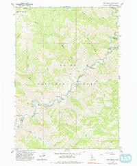 Twin Springs Idaho Historical topographic map, 1:24000 scale, 7.5 X 7.5 Minute, Year 1964