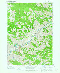 Twin Springs Idaho Historical topographic map, 1:24000 scale, 7.5 X 7.5 Minute, Year 1964