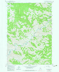 Twin Springs Idaho Historical topographic map, 1:24000 scale, 7.5 X 7.5 Minute, Year 1964