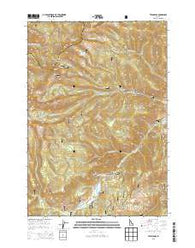 Twin Peaks Idaho Current topographic map, 1:24000 scale, 7.5 X 7.5 Minute, Year 2013