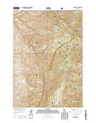 Twin Sisters Idaho Current topographic map, 1:24000 scale, 7.5 X 7.5 Minute, Year 2013