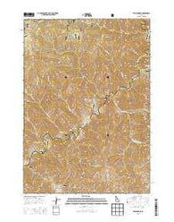 Twin Springs Idaho Current topographic map, 1:24000 scale, 7.5 X 7.5 Minute, Year 2013