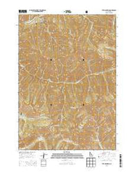 Tyee Mountain Idaho Current topographic map, 1:24000 scale, 7.5 X 7.5 Minute, Year 2013
