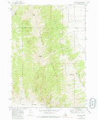 Tyler Peak Idaho Historical topographic map, 1:24000 scale, 7.5 X 7.5 Minute, Year 1969