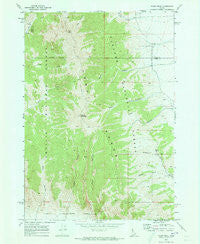 Tyler Peak Idaho Historical topographic map, 1:24000 scale, 7.5 X 7.5 Minute, Year 1969