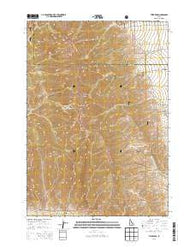 Tyler Peak Idaho Current topographic map, 1:24000 scale, 7.5 X 7.5 Minute, Year 2013