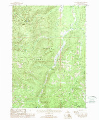 Tyndall Meadows Idaho Historical topographic map, 1:24000 scale, 7.5 X 7.5 Minute, Year 1988