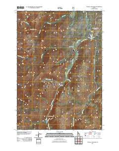 Tyndall Meadows Idaho Historical topographic map, 1:24000 scale, 7.5 X 7.5 Minute, Year 2011